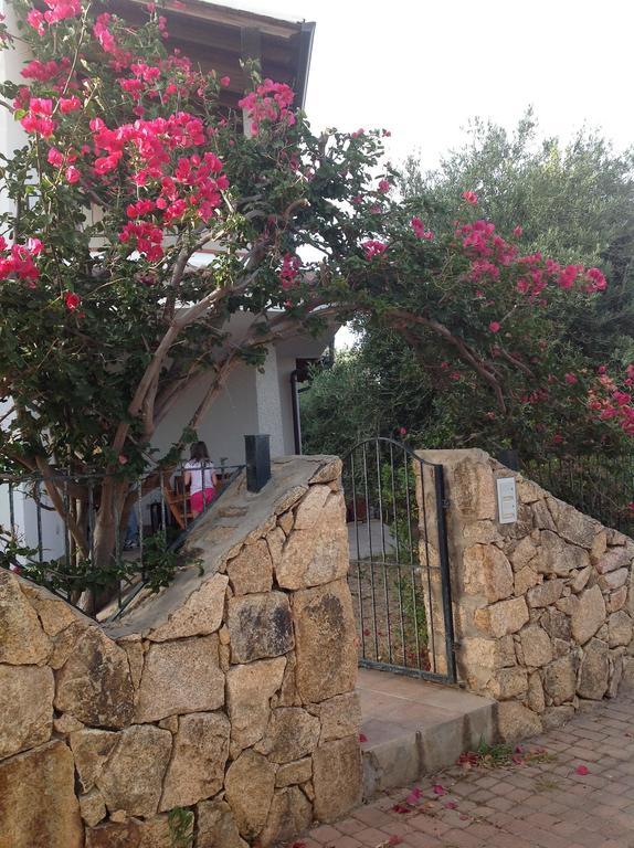 אורוסיי Hotel Gli Ulivi מראה חיצוני תמונה